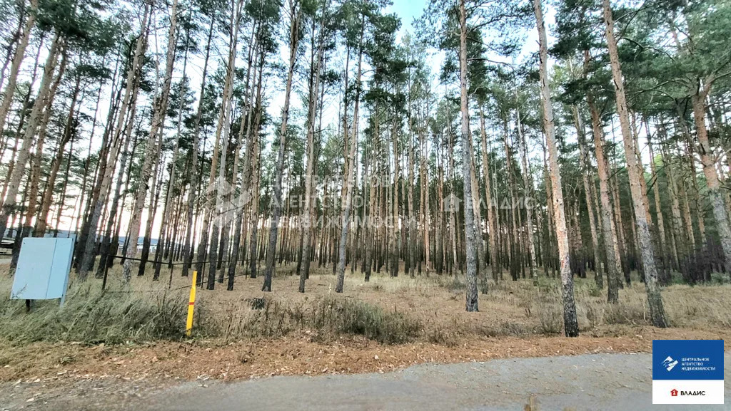 Продажа участка, Рязанский район - Фото 13