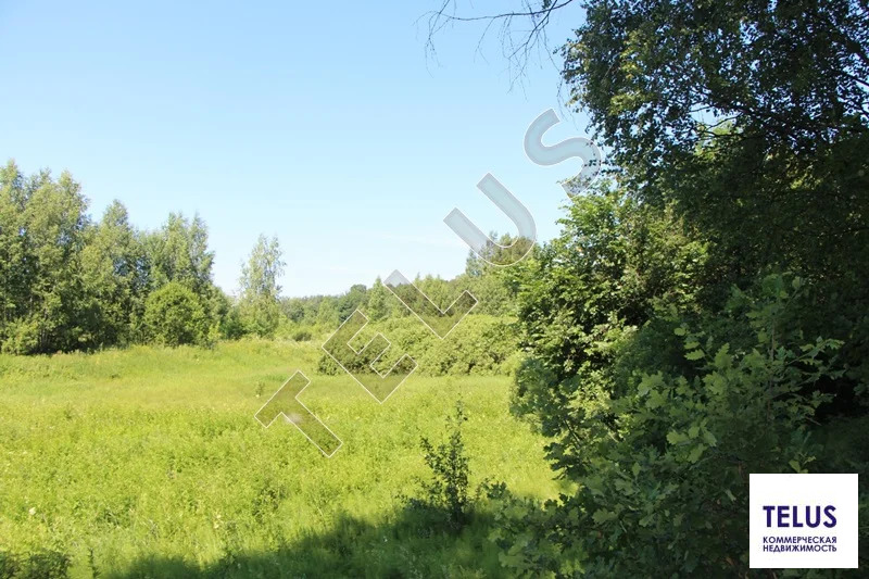 МО, Богородский г.о., с. Богослово, Земельный участок 7 га (ном. ... - Фото 3