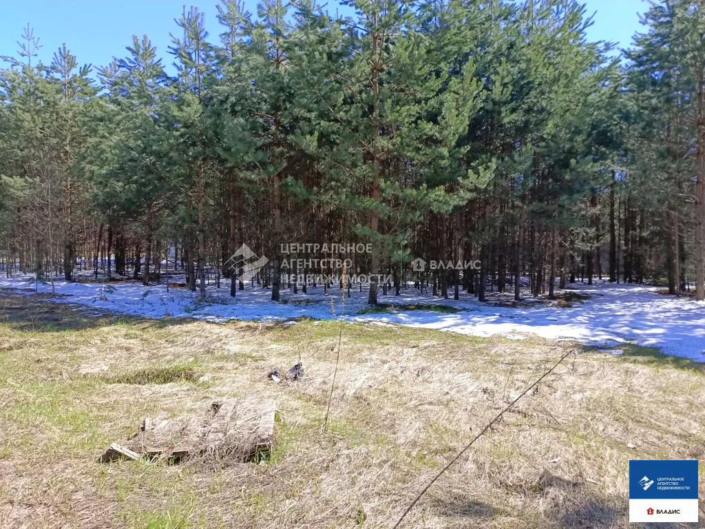 Продажа участка, Алеканово, Рязанский район - Фото 3