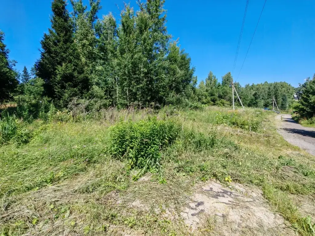 Продам участок в Лобне - Фото 12