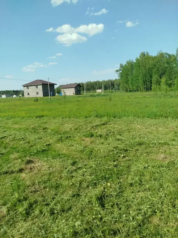 Земельный участок у леса - Фото 10