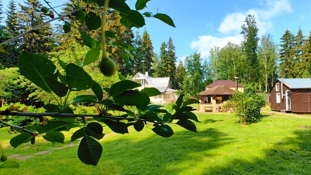 Продажа участка, Апрелевка, Наро-Фоминский район, ул. Кутузова - Фото 5