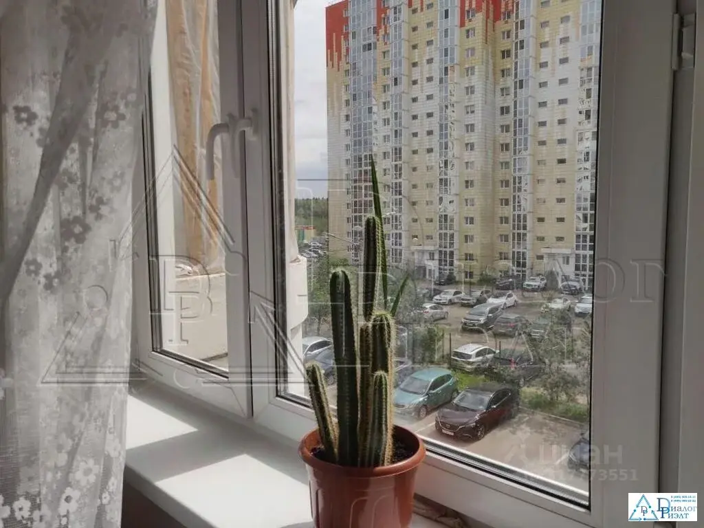 Просторная однокомнатная квартира в пос. Голубое Московской области - Фото 2
