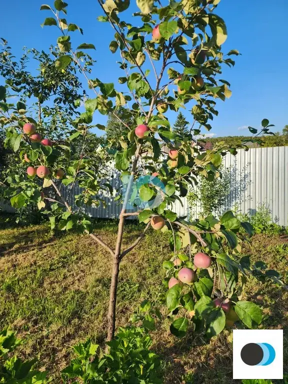 Продажа дома, Федоровка, Рассветная улица - Фото 24