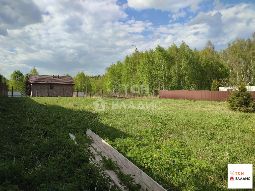 Продажа участка, Мамонтово, Богородский г. о., Малиновая улица - Фото 4