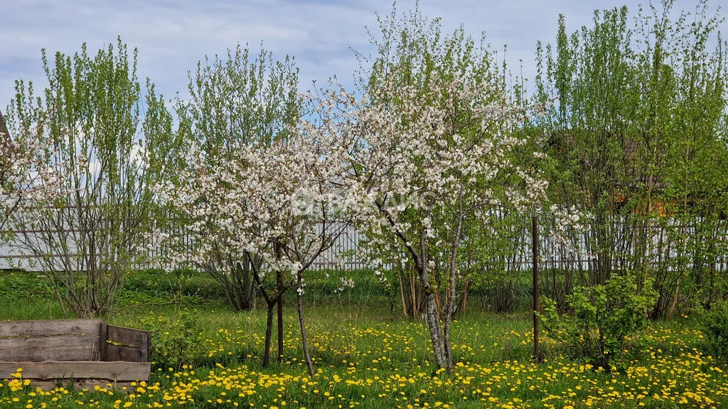 Суздальский район, деревня Боголюбка, Луговая улица,  дом на продажу - Фото 9