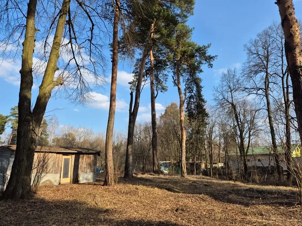 Сосновый участок в Подушкино с панорамными видами на Рублевке - Фото 2