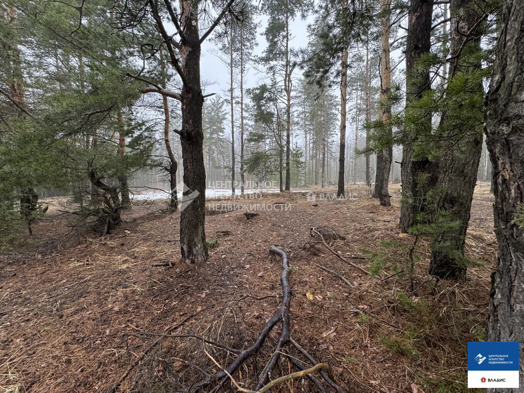 Продажа участка, Рязанский район, садоводческое товарищество ... - Фото 3
