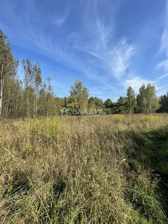 Одинцовский городской округ, деревня Лапино,  земля на продажу - Фото 2