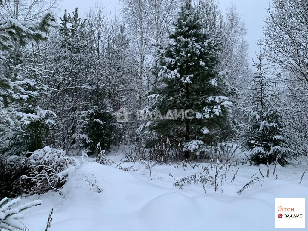 Продажа участка, Щелковский район - Фото 7