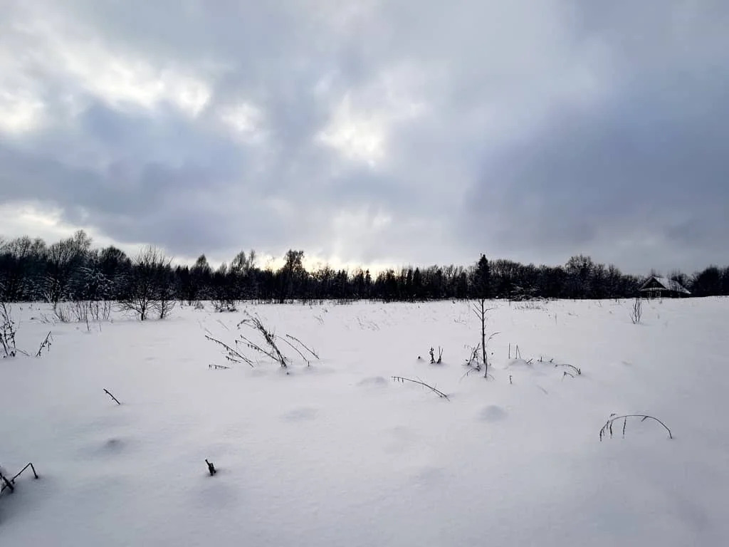 Продажа участка, Горбово, Дмитровский район - Фото 4