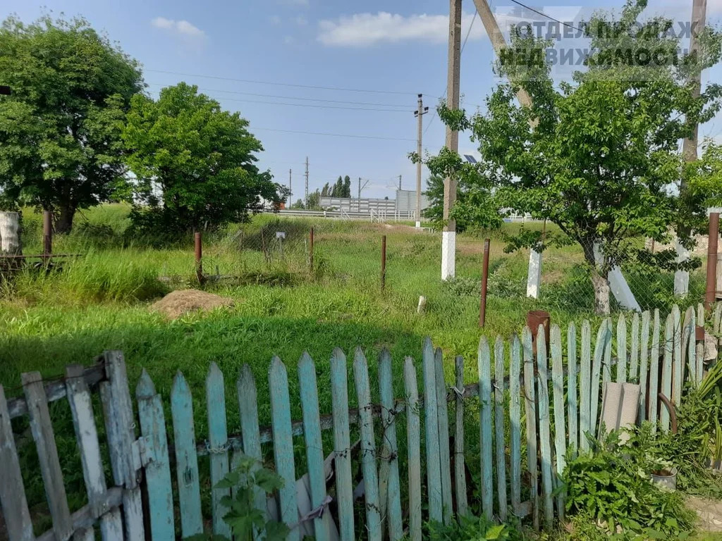 Объект 538147 - Фото 6