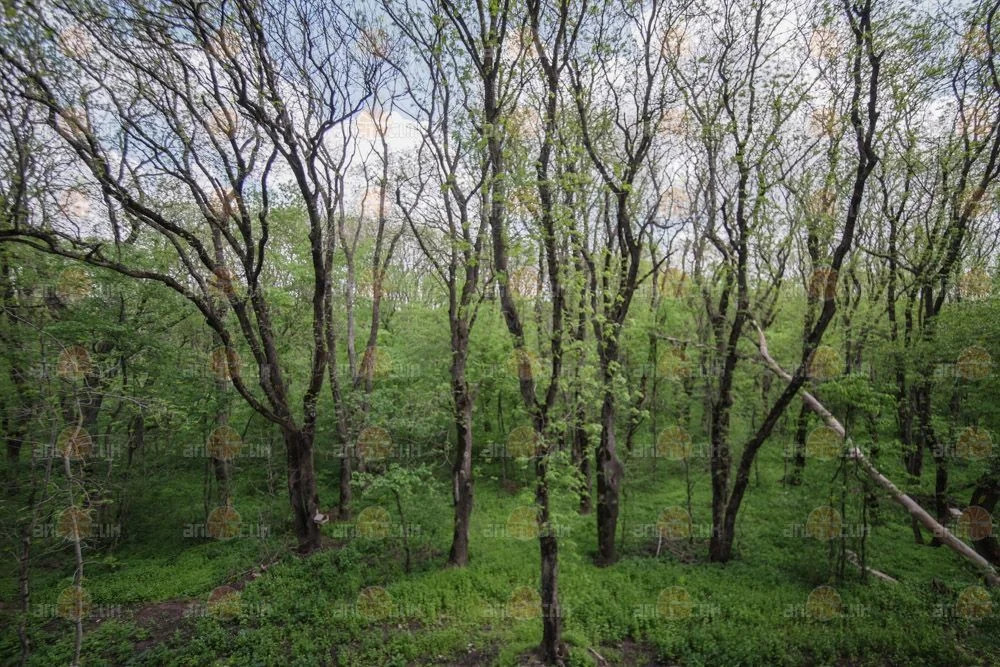 1-комн. квартира - Фото 2