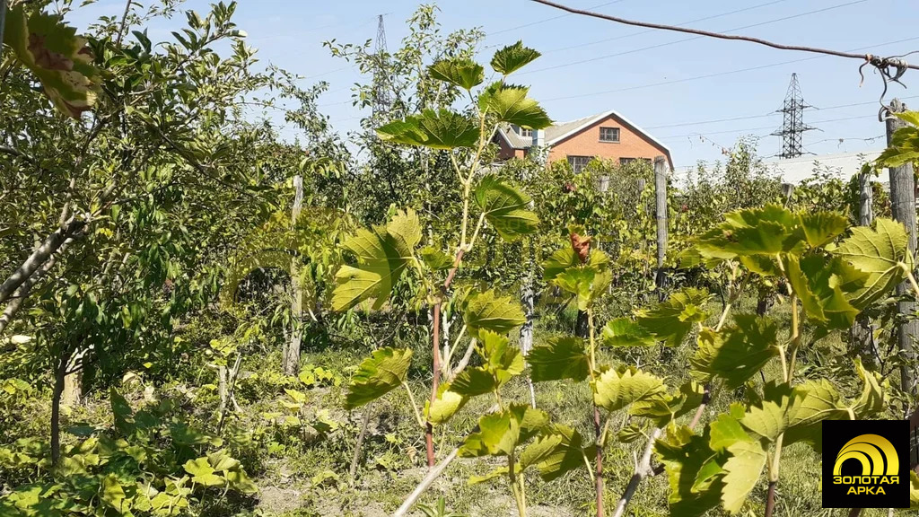 Продажа дома, Крымск, Крымский район, ул. Шоссейная - Фото 16