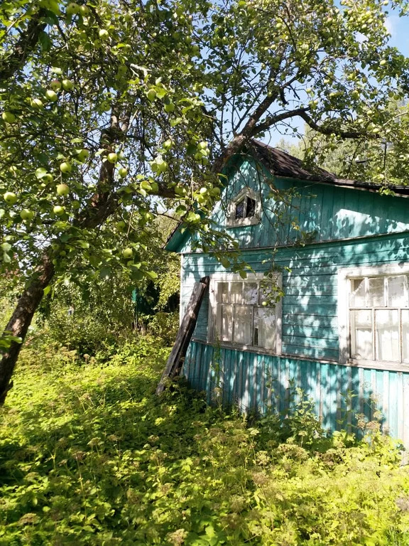 Дачи приморский край. Приморский район дачи. Дача Приморский край. Рыбинск Приморский сад 5. Фото пгт Приморский СНТ Аквамарин с воздуха.