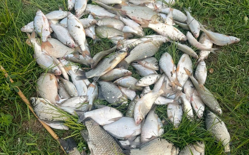 Продажа участка, Курчанская, Темрюкский район, ул. Пушкина - Фото 15