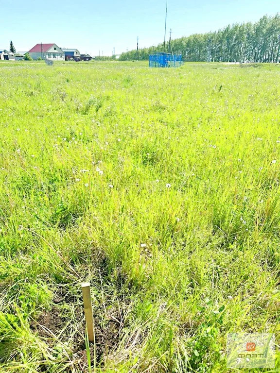 Продажа участка, Тетюши, Тетюшский район, ул. Дряничкина - Фото 4