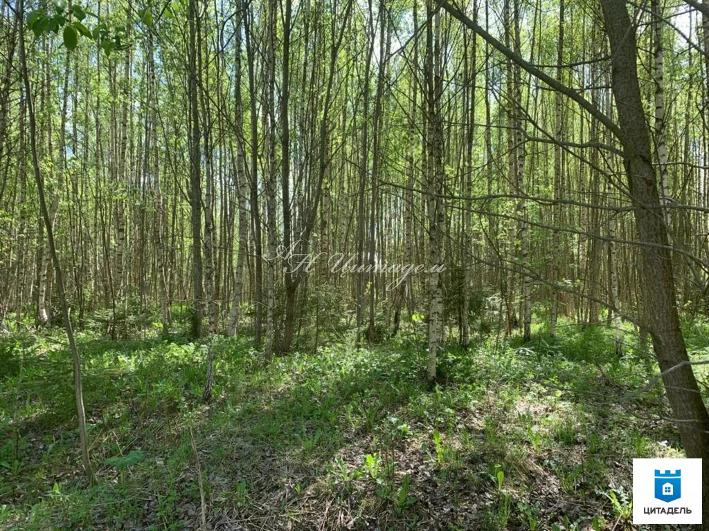 Продажа участка, Клинский район - Фото 1