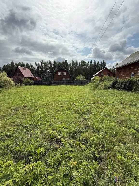 Продаю участок с хоз постройкой из железа 20 кв.м, в снт Починки - Фото 9