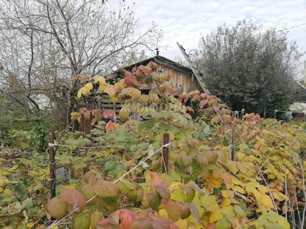 Продажа дома, Новосибирск, садовое товарищество Энергетик-1 - Фото 25