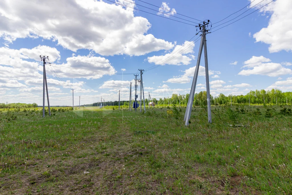 Продажа участка, Кичино, Шекснинский район, Шекснинский р-н - Фото 10