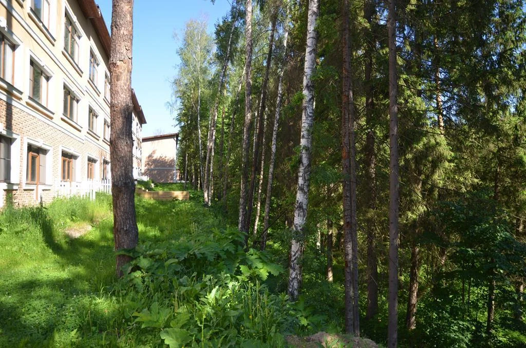 Таунхаус в жилом поселке на Новорижском шоссе 9 км в лесу рядом озеро - Фото 4