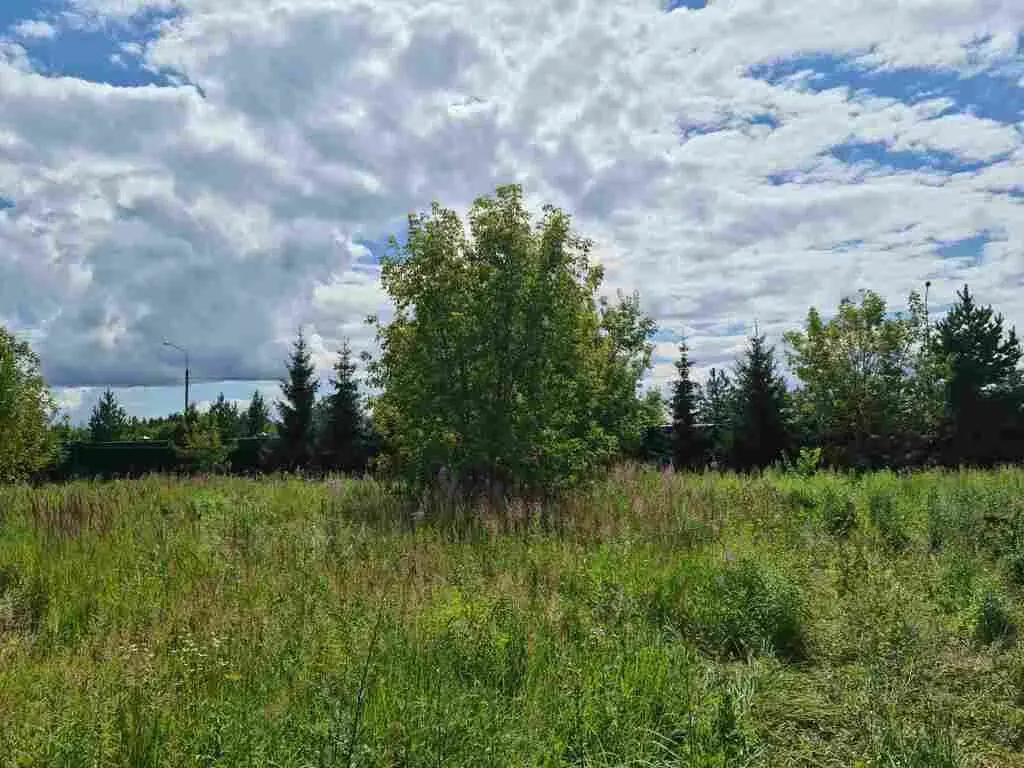 Рублево-Успенское ш. 16км. пос. Горки-2 окп Знаменские просторы - Фото 3