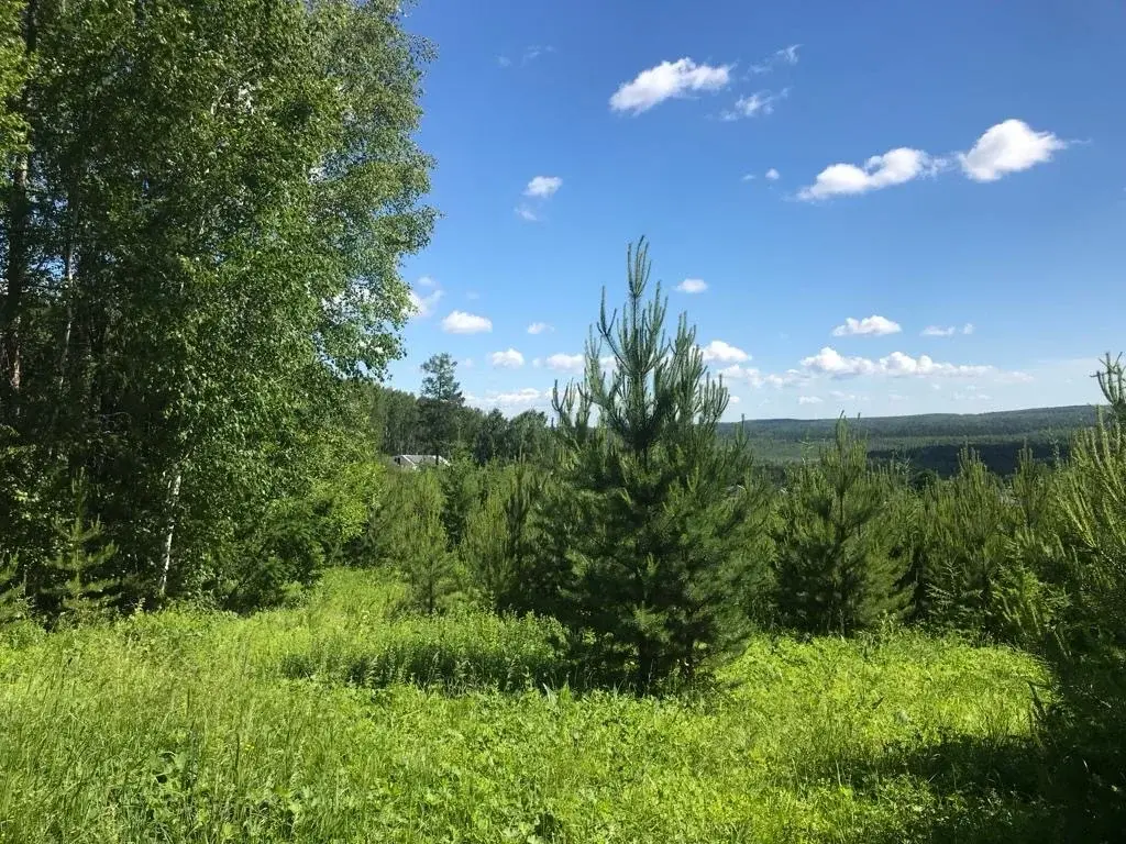 Продам земельный участок в лесной зоне г.Дегтярск - Фото 2