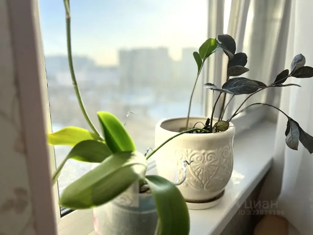 Купить однокомнатную квартиру 38.3м ул. Маршала Голованова, 1, Москва, ... - Фото 7