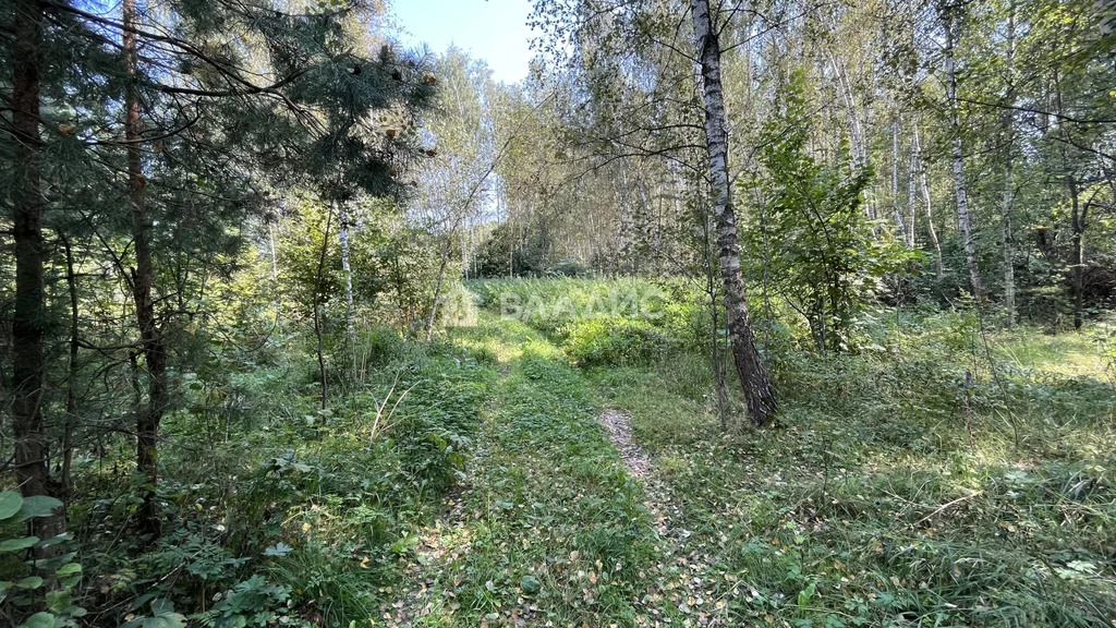 городской округ Серпухов, СНТ Ланьшино,  земля на продажу - Фото 0