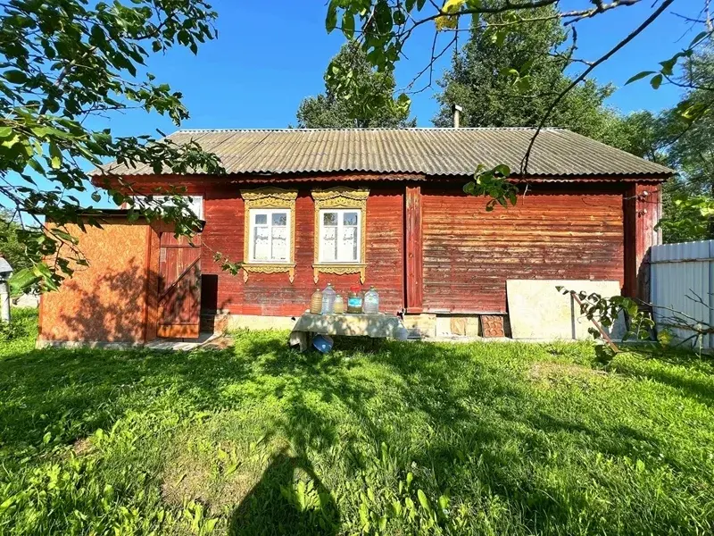 Дом в деревне Большая Ильинка - Фото 1