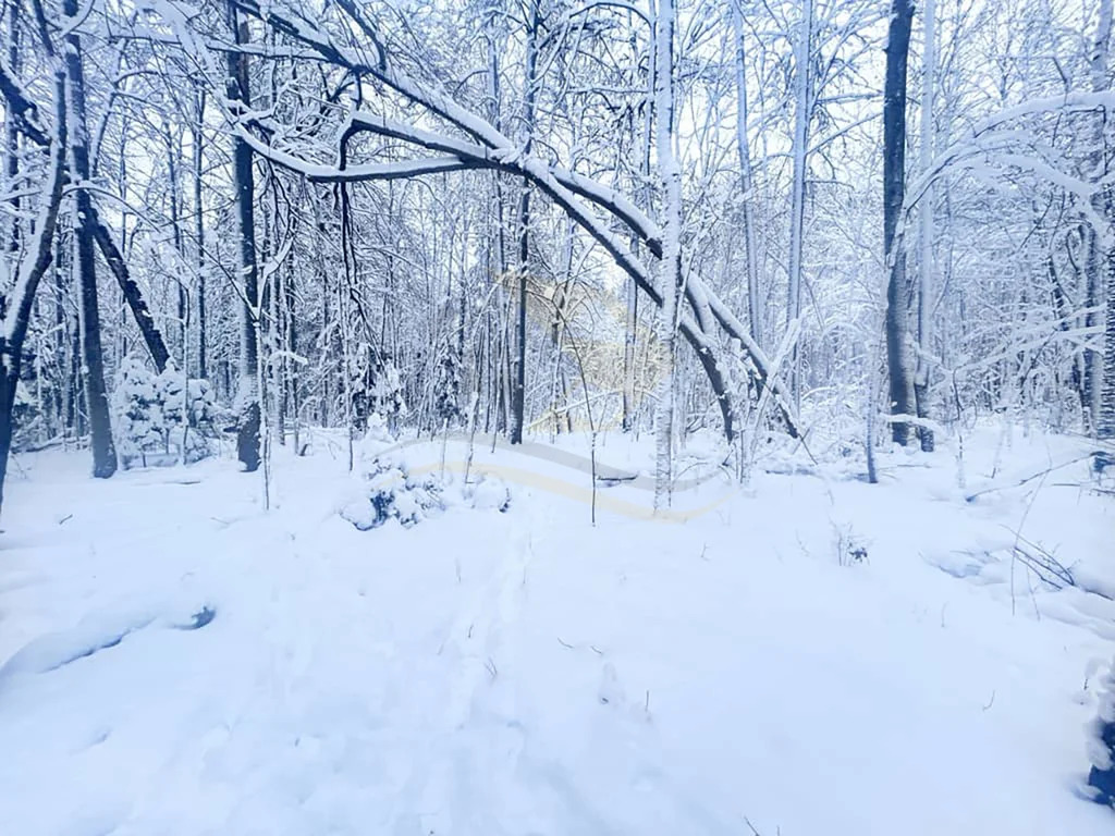 Продажа участка, Сокольники, Дмитровский район - Фото 5