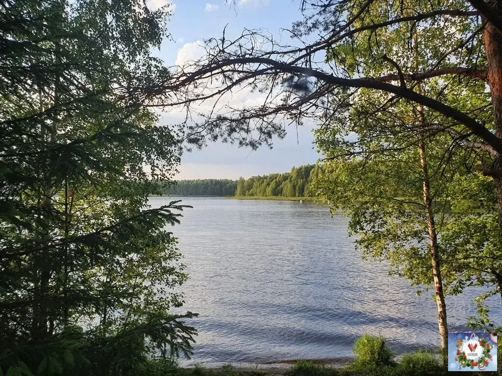 Продаю участок 10.0 сот. Владимирская область, Киржачский район, ... - Фото 2