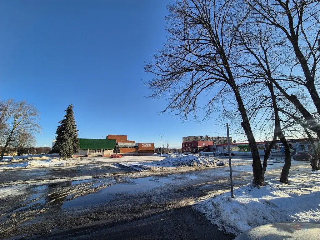 1-к. квартира, 30,2 м2, 4/4 эт. - Фото 29