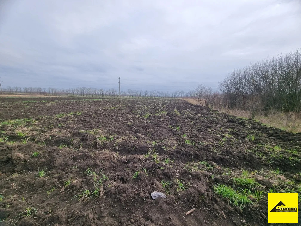 Продажа участка, Воронцовка, Ейский район - Фото 1