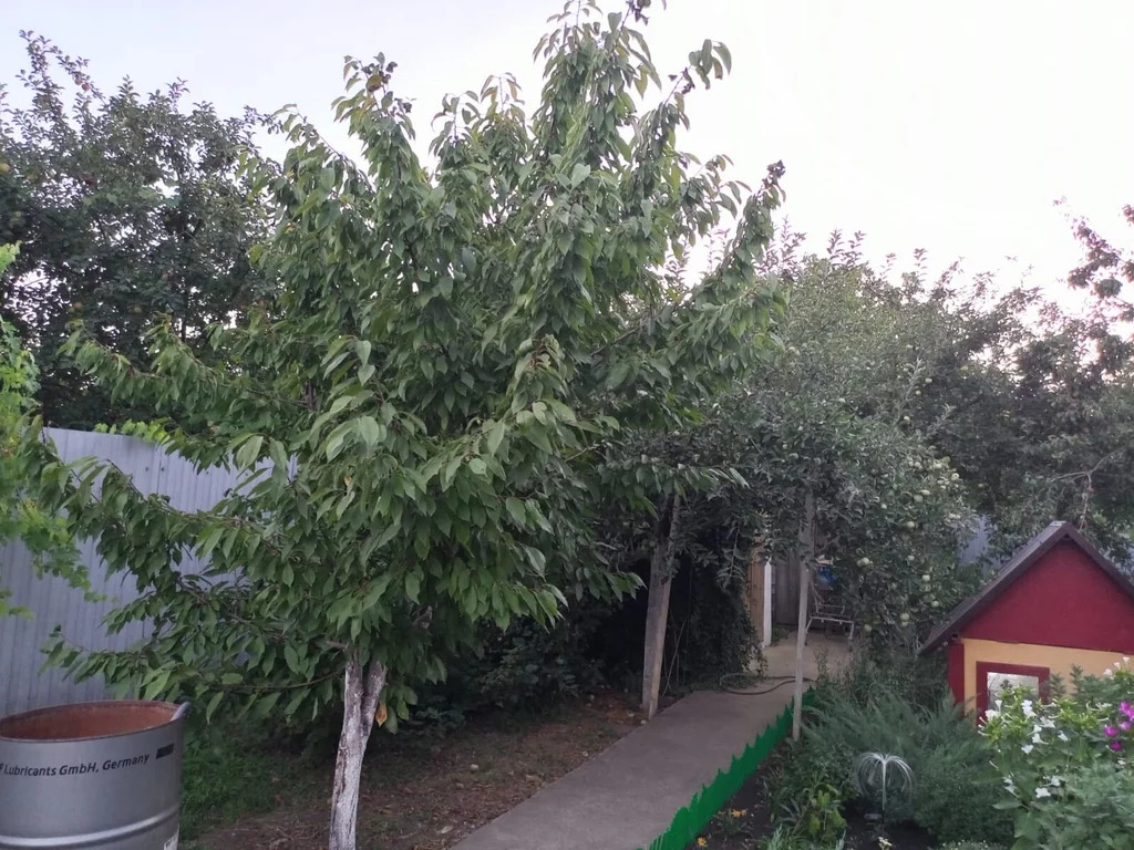 Продажа дома, Абинск, Абинский район, ул. Ростовская - Фото 20