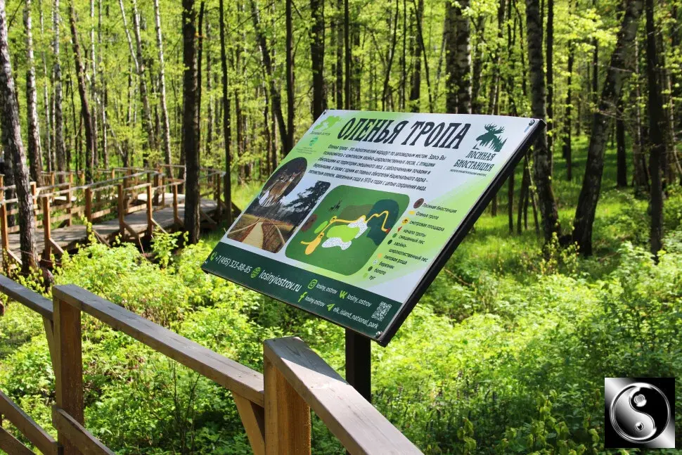 2-к. квартира, 60 м, 3/12 эт.Moсква, Яpocлавское шоcсe, 8к2 С - Фото 31