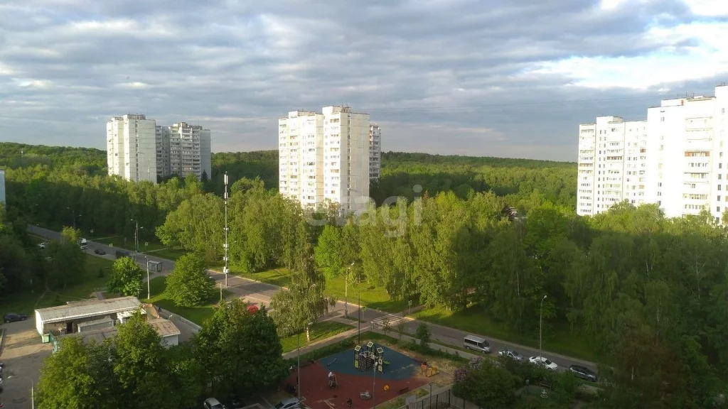 Продажа квартиры, м. Ясенево, Инессы Арманд, 8/17 - Фото 13