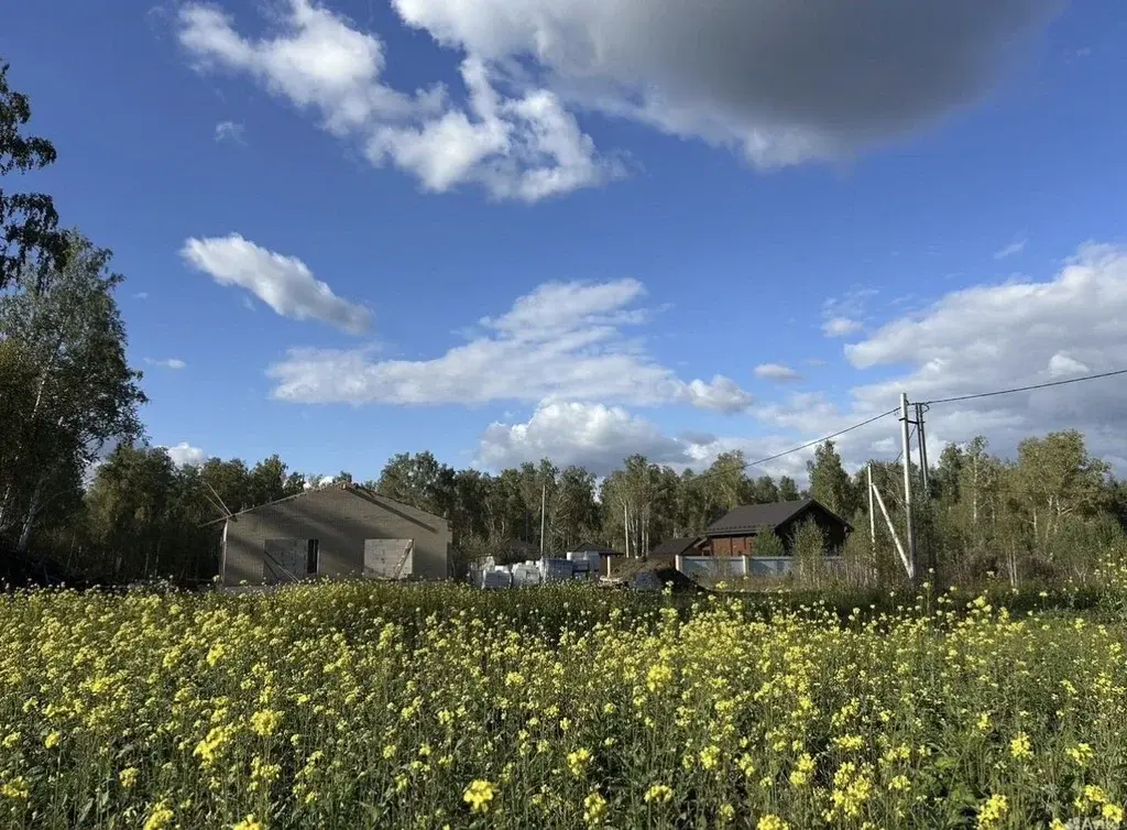 Земельный участок у леса - Фото 7