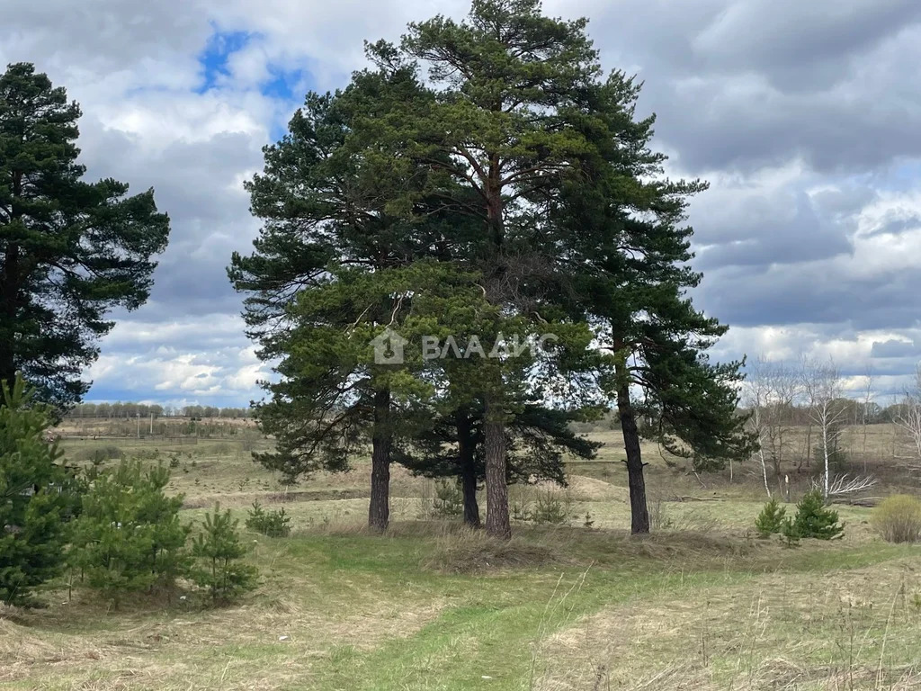 городской округ Ступино, село Ивановское,  земля на продажу - Фото 5