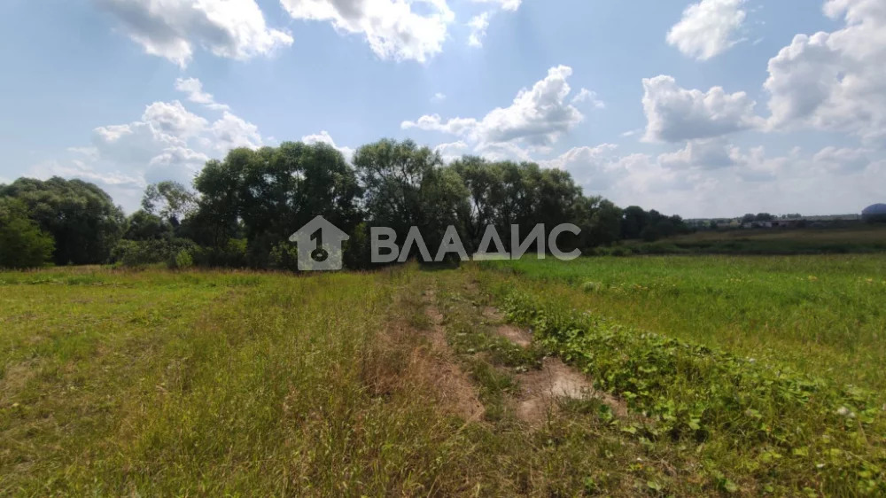 Суздальский район, село Новгородское, Светлая улица,  земля на продажу - Фото 8