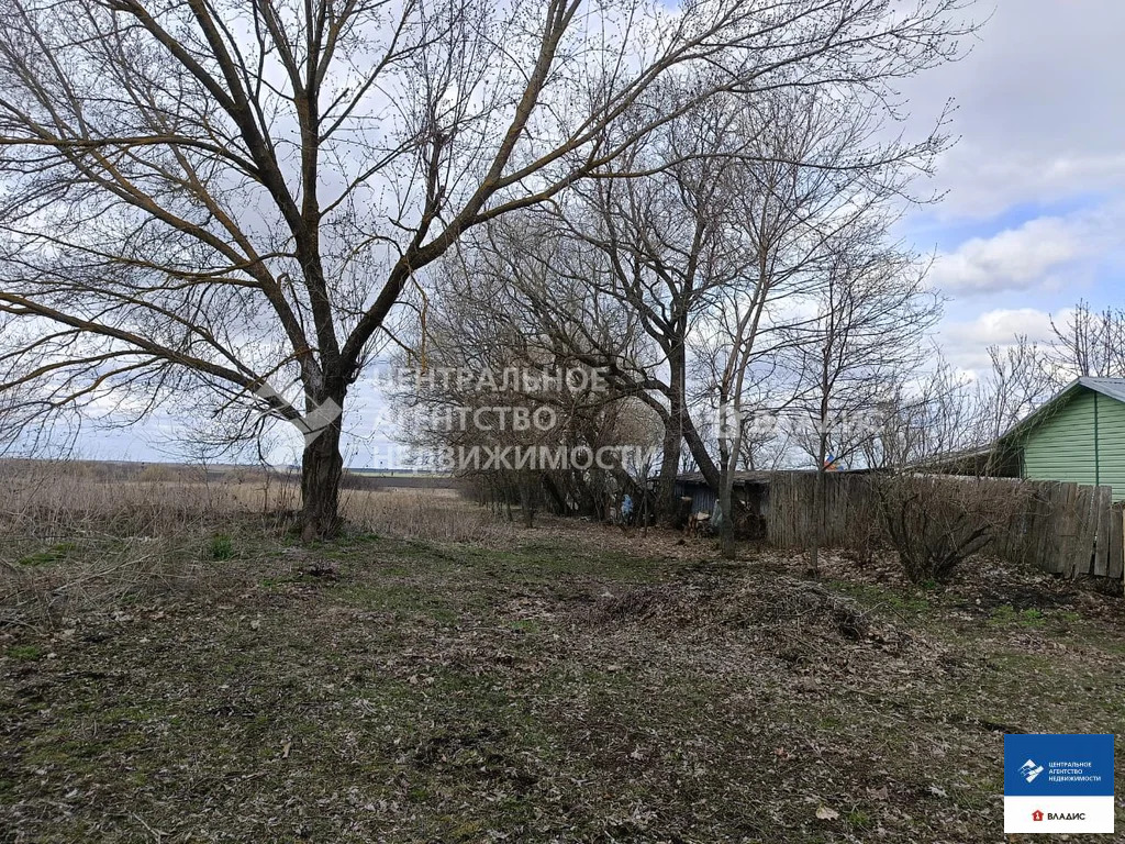 Продажа участка, Гагино, Пронский район, ул. Большая - Фото 2