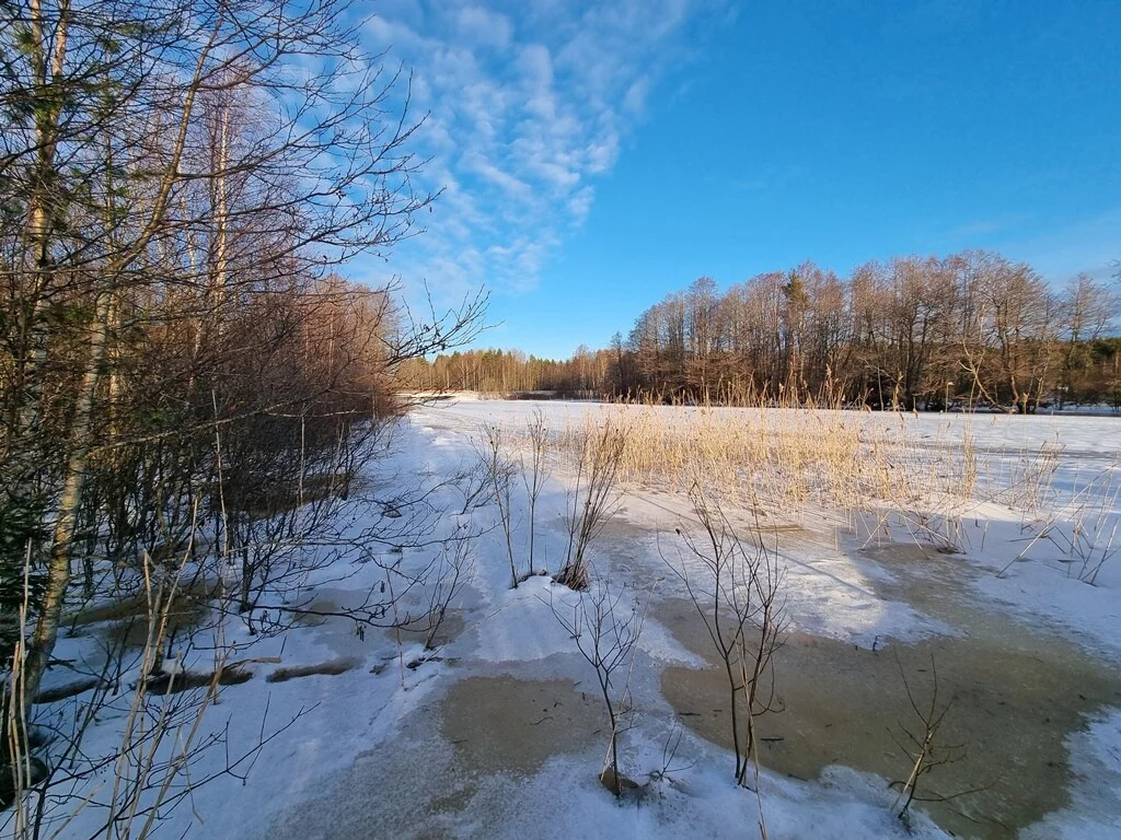 Продажа участка, Большое Поле, Выборгский район - Фото 0