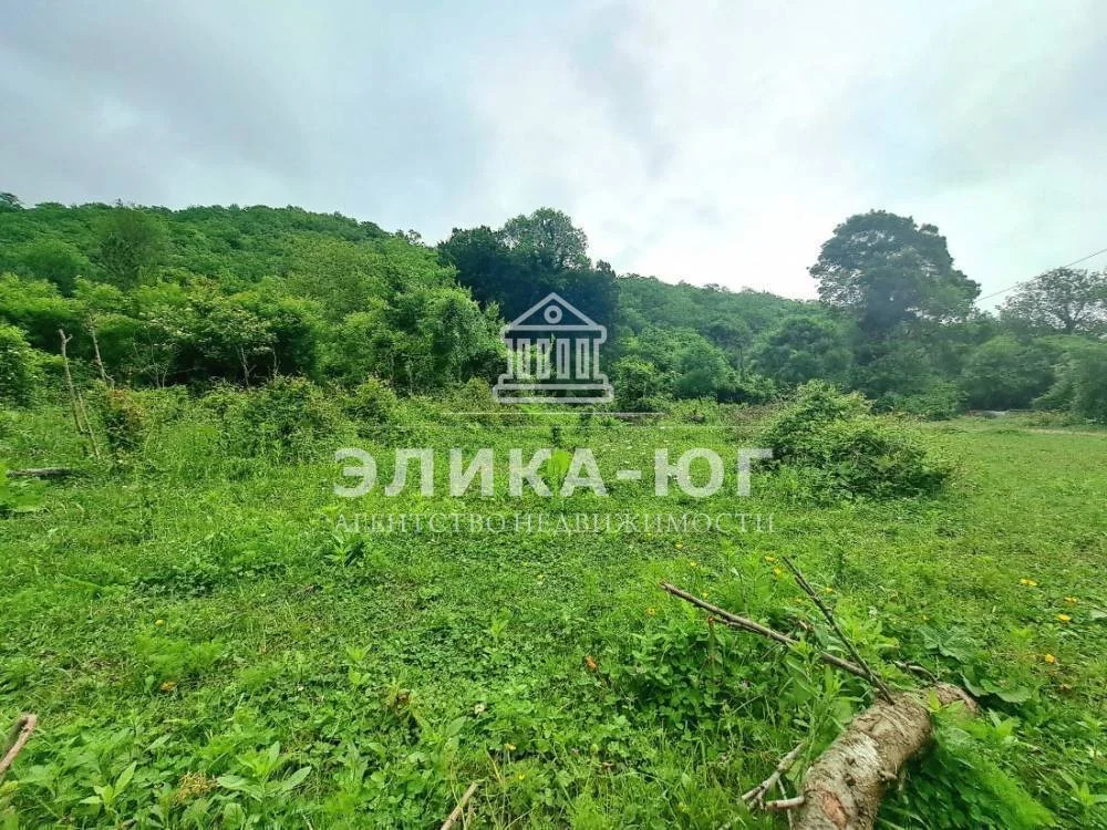 Продажа участка, Лермонтово, Туапсинский район, снт.Бодрость - Фото 2