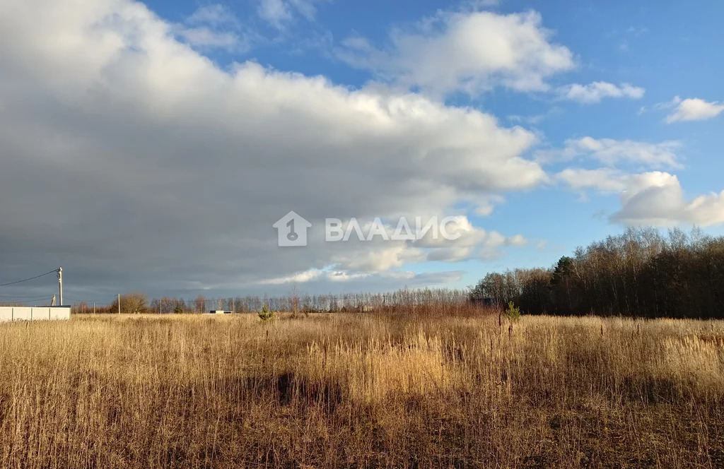 городской округ Владимир, Владимир, Ленинский район, 2-я Полётная ... - Фото 2