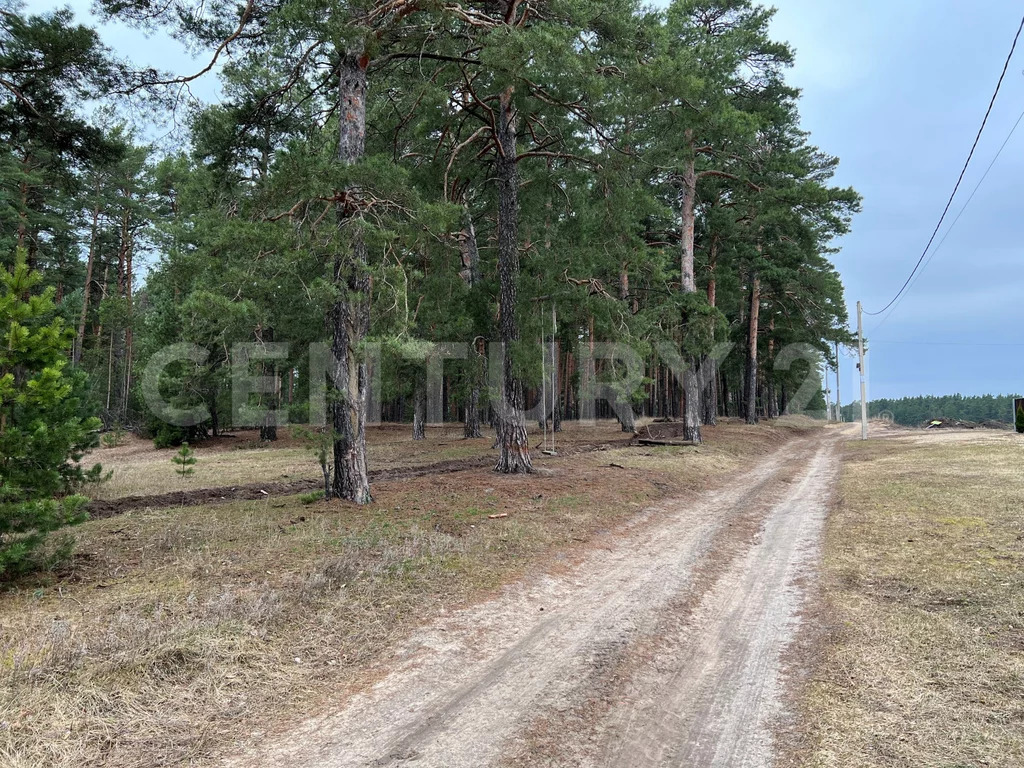 Продажа участка, Кореневщино, Добровский район, Набережная ул. - Фото 11
