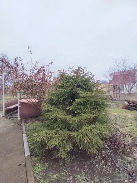 Продаю дачу в СНТ Голубые Ели Мержаново Ростовская область пл 1295 км - Фото 16