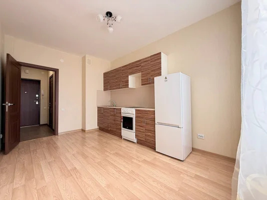 Продам однокомнатную (1-комн.) квартиру, Русская ул, 5, Анкудиновка д - Фото 4