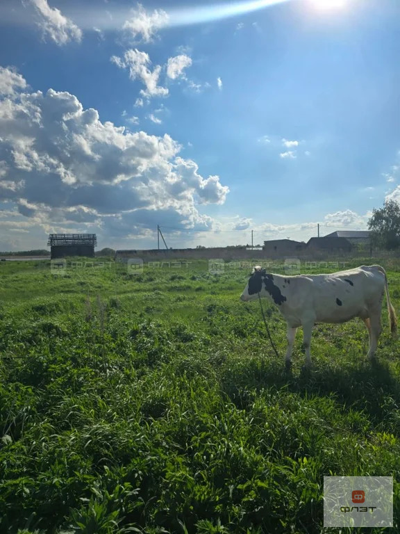 Продажа участка, Измери, Спасский район, ул. Набережная - Фото 24