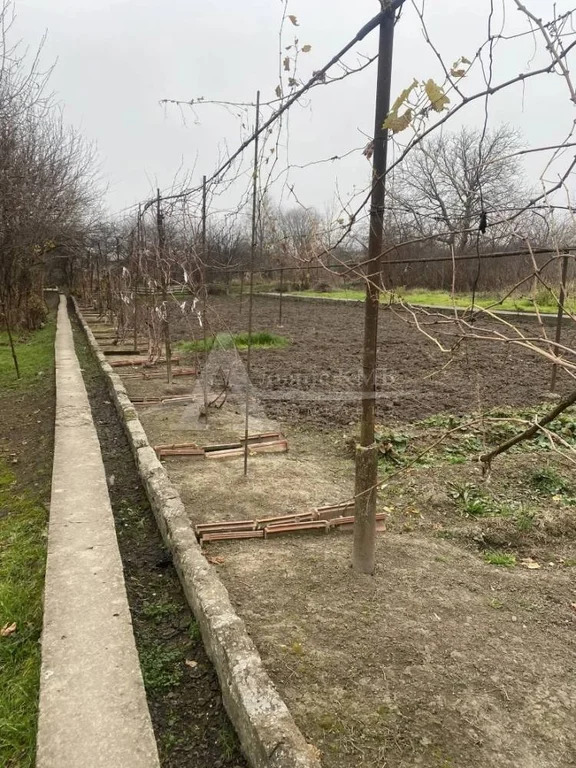 Продажа дома, Георгиевск, ул. Пионерская - Фото 4